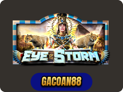 Eye of the Storm